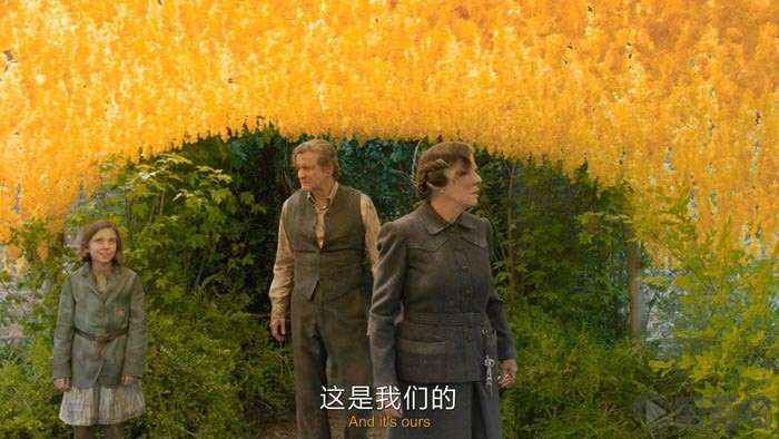 05.jpg